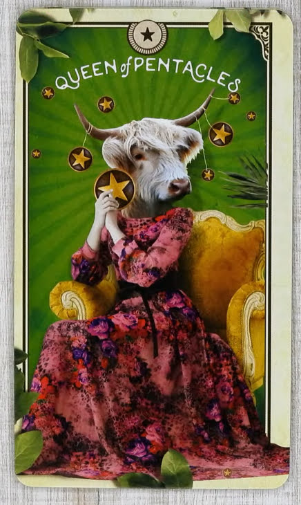 Tarot of Curious Creatures